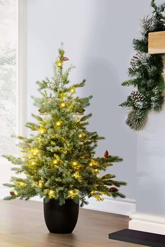 Ultra Realistic Christmas Trees<Christmas Tree World The 3Ft Pre-Lit Cairngorm Pine Potted Tree (Indoor/Outdoor)