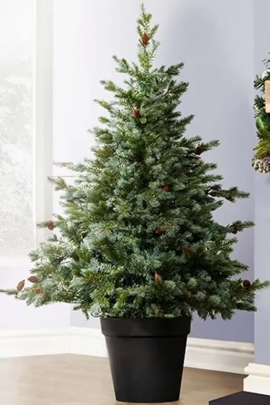 Ultra Realistic Christmas Trees<Christmas Tree World The 4Ft Cairngorm Pine Potted Tree (Indoor/Outdoor)