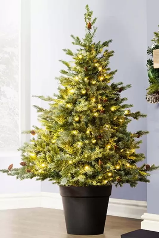 Ultra Realistic Christmas Trees<Christmas Tree World The 4Ft Pre-Lit Cairngorm Pine Potted Tree (Indoor/Outdoor)