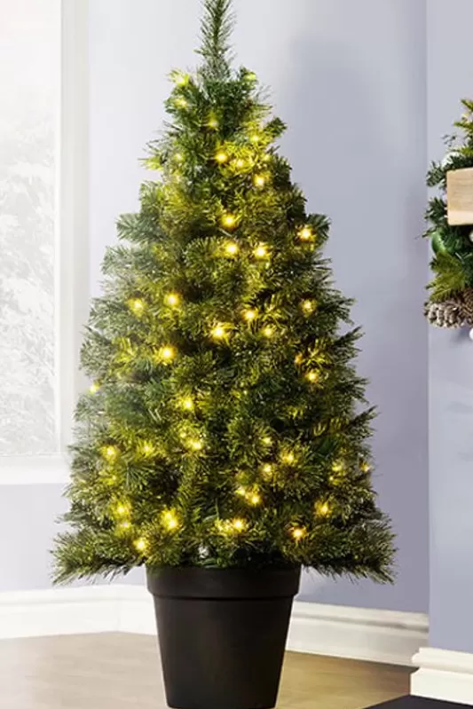 4 Foot Pre Lit Christmas Trees<Christmas Tree World The 4Ft Pre-Lit Majestic Dew Pine Potted Tree (Indoor/Outdoor)